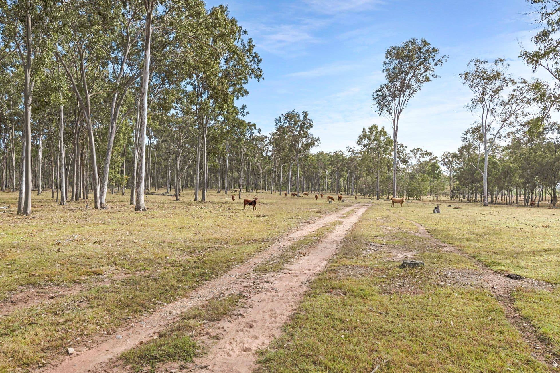 616 Mahoneys Road, Bucca QLD 4670, Bucca - Thumbnail 5