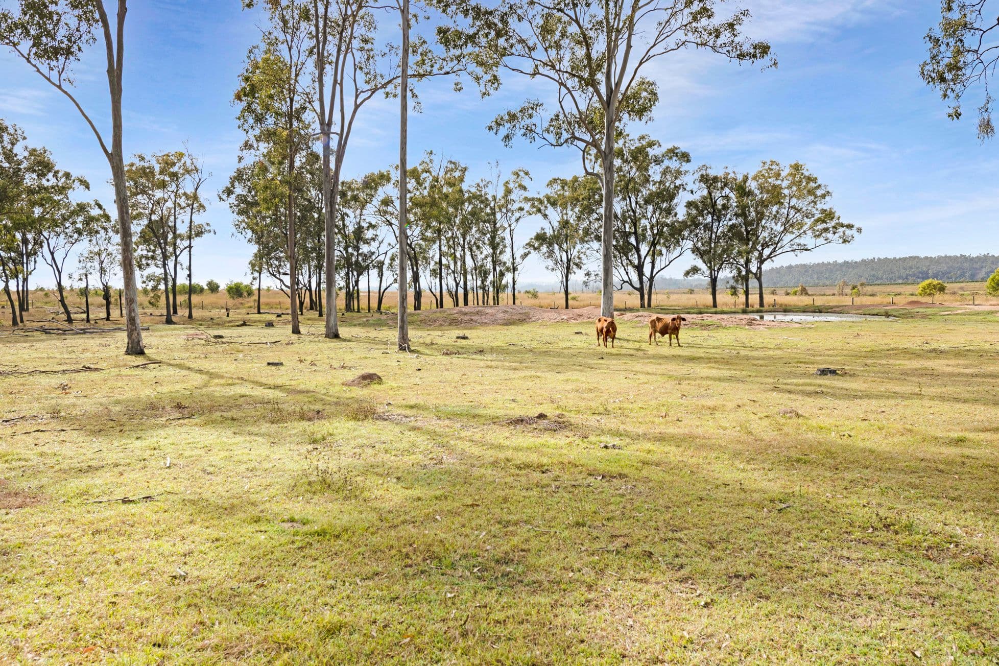 616 Mahoneys Road, Bucca QLD 4670, Bucca - Thumbnail 6