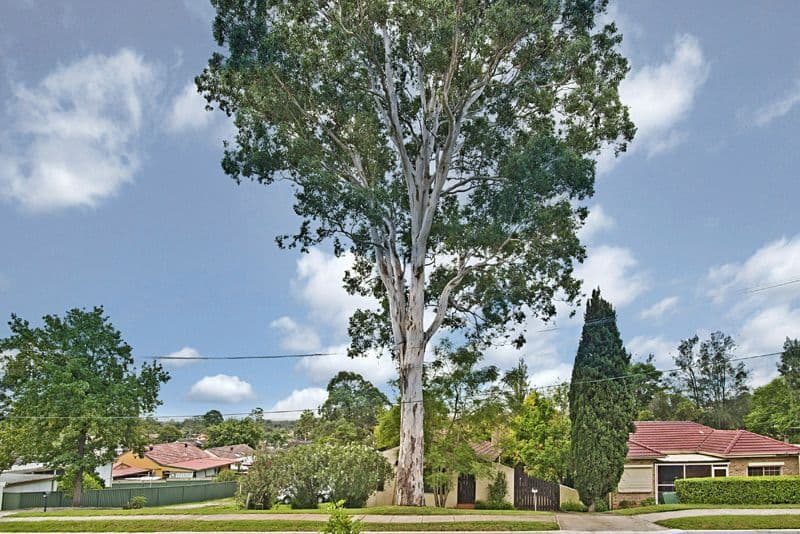 36 Derwent Parade, BLACKTOWN NSW 2148, Blacktown - Thumbnail 8