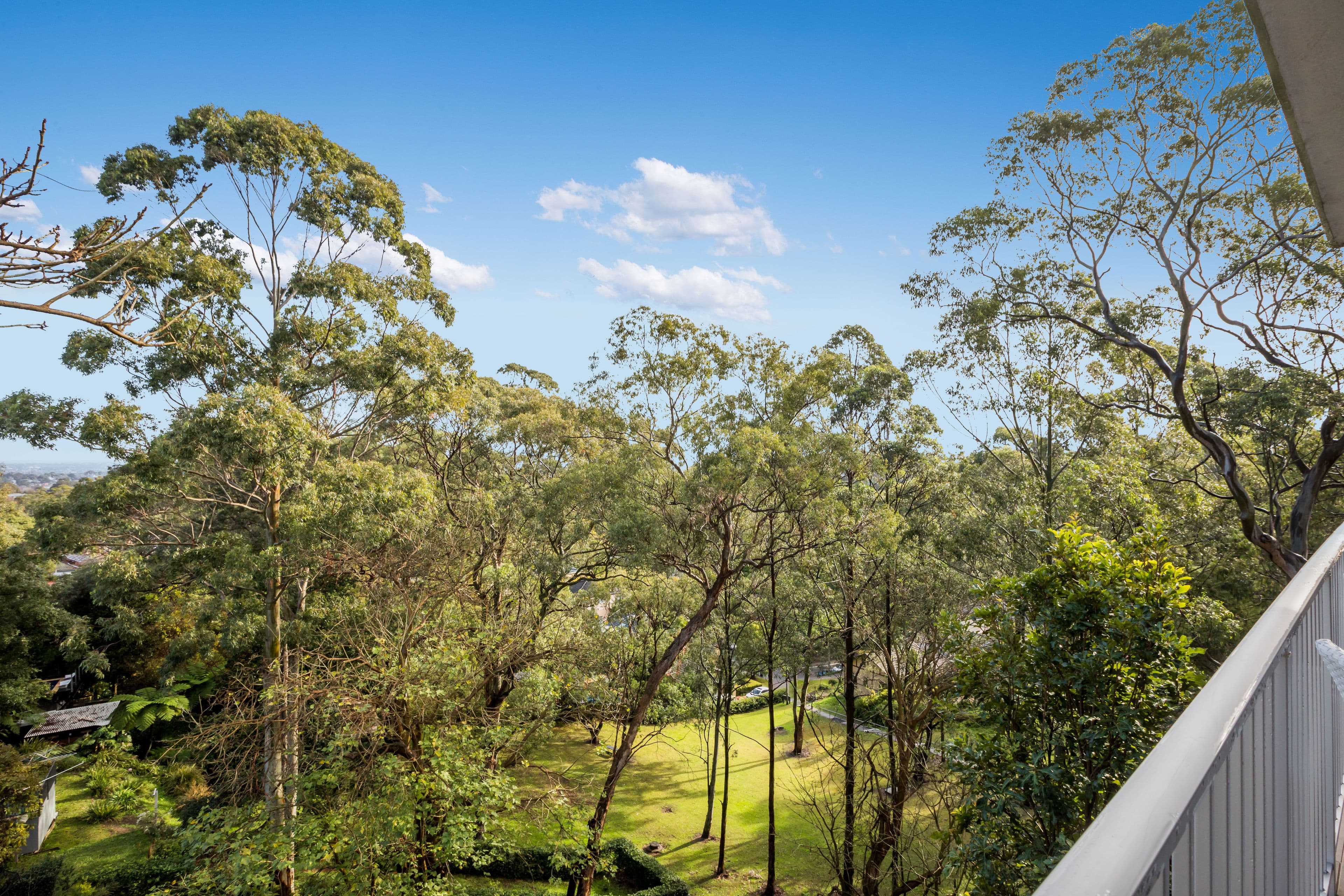 1B Innes Road, Greenwich NSW 2065, Greenwich - Thumbnail 8