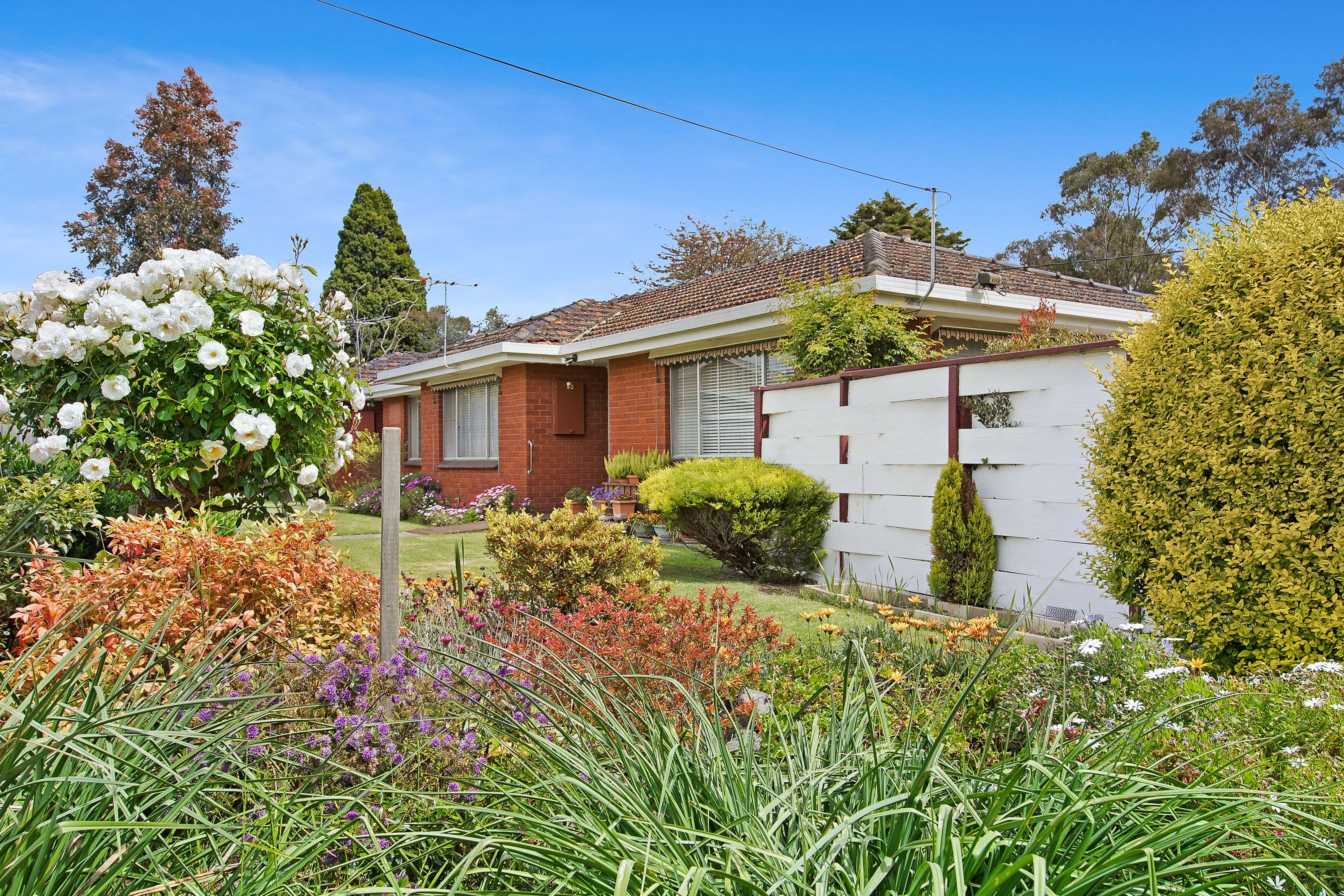 1 Neil Court, Mulgrave VIC 3170, Mulgrave - Thumbnail 8