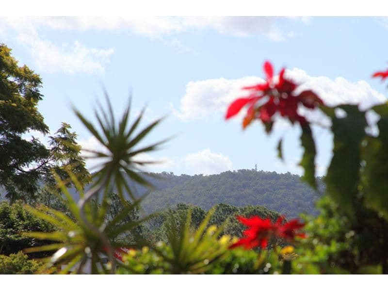 99 Kenmore Road, KENMORE QLD 4069, Kenmore - Thumbnail 5