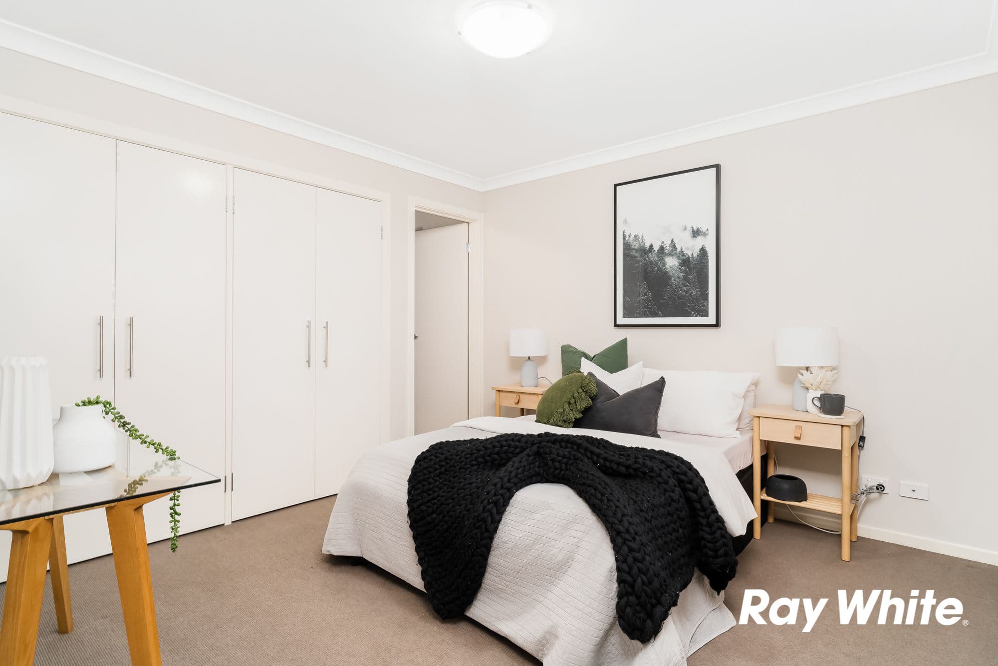 35 Daylight Street, Schofields NSW 2762, Schofields - Thumbnail 7