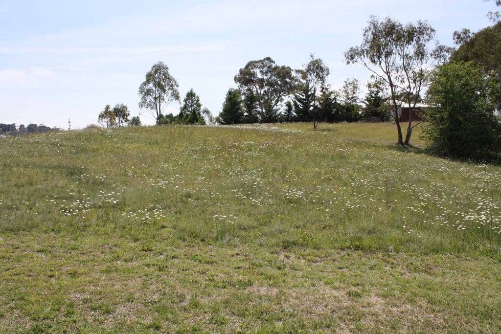 Lot 7 Windeyer, GLEN INNES NSW 2370, Glen Innes - Image 1
