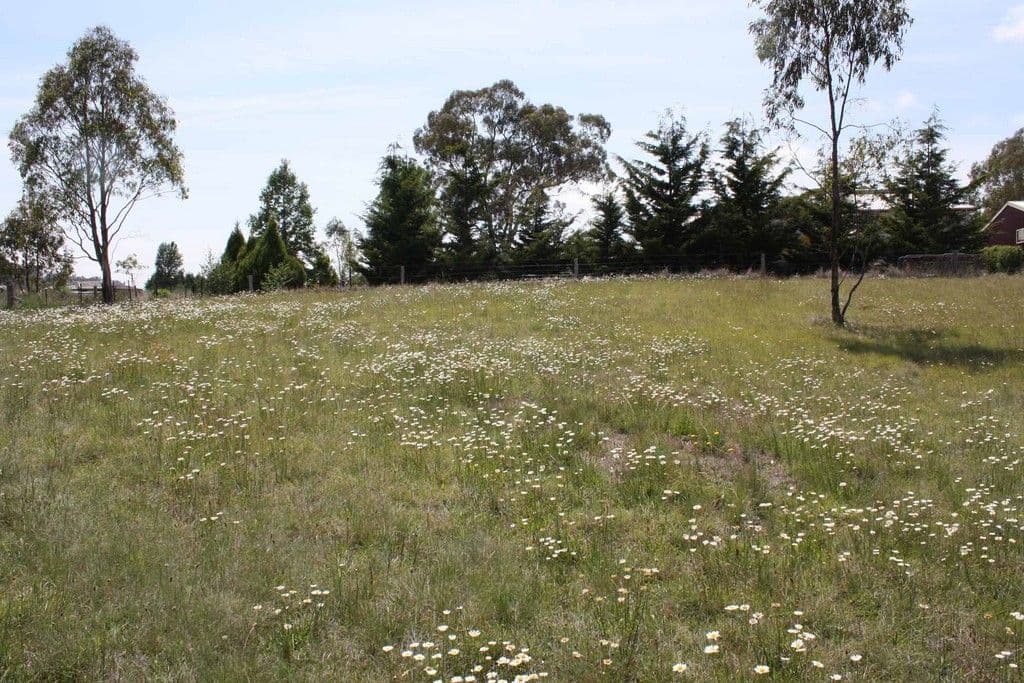 Lot 7 Windeyer, GLEN INNES NSW 2370, Glen Innes - Thumbnail 4