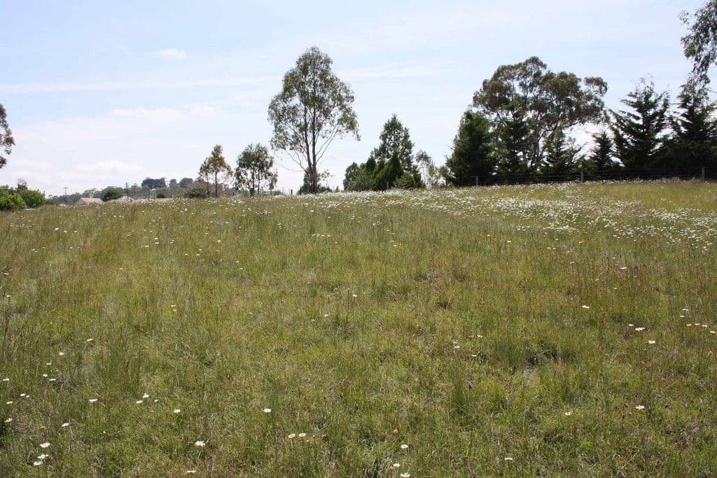 Lot 7 Windeyer, GLEN INNES NSW 2370, Glen Innes - Thumbnail 5