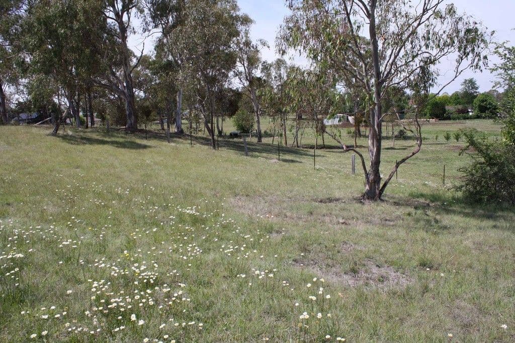 Lot 7 Windeyer, GLEN INNES NSW 2370, Glen Innes - Thumbnail 6