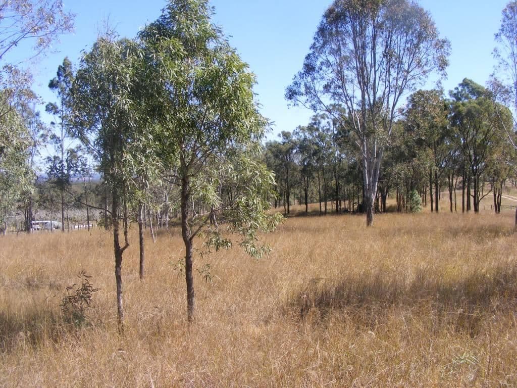 Lot 4 Runnymede Estate Road, RUNNYMEDE QLD 4615, Runnymede - Thumbnail 2