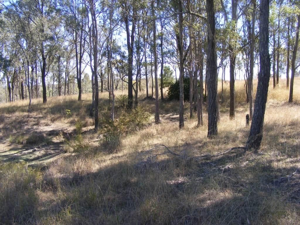 Lot 4 Runnymede Estate Road, RUNNYMEDE QLD 4615, Runnymede - Thumbnail 5