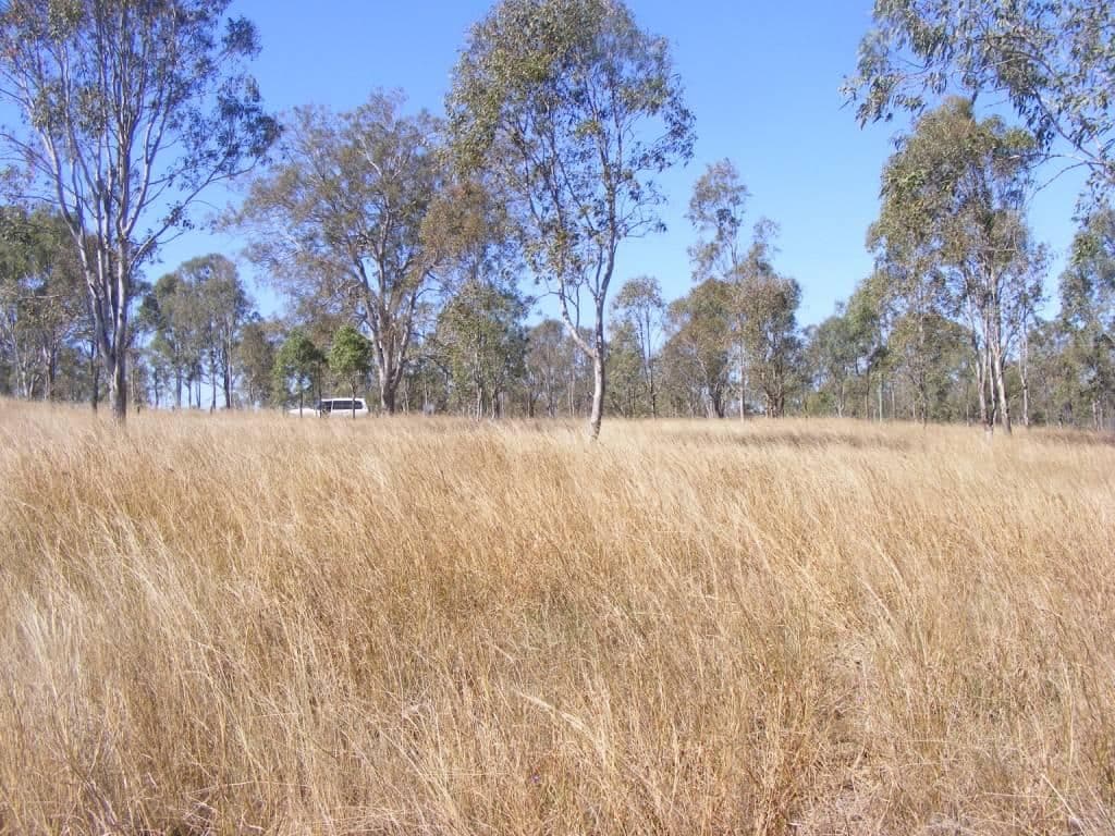 Lot 4 Runnymede Estate Road, RUNNYMEDE QLD 4615, Runnymede - Thumbnail 6