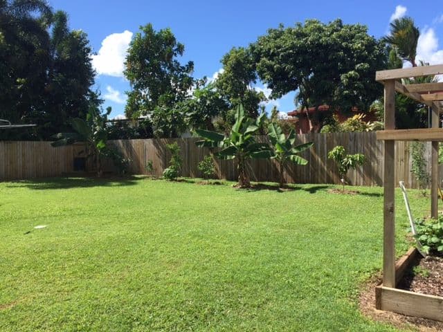 20 Cominos Place, Manunda QLD 4870, Manunda - Thumbnail 3