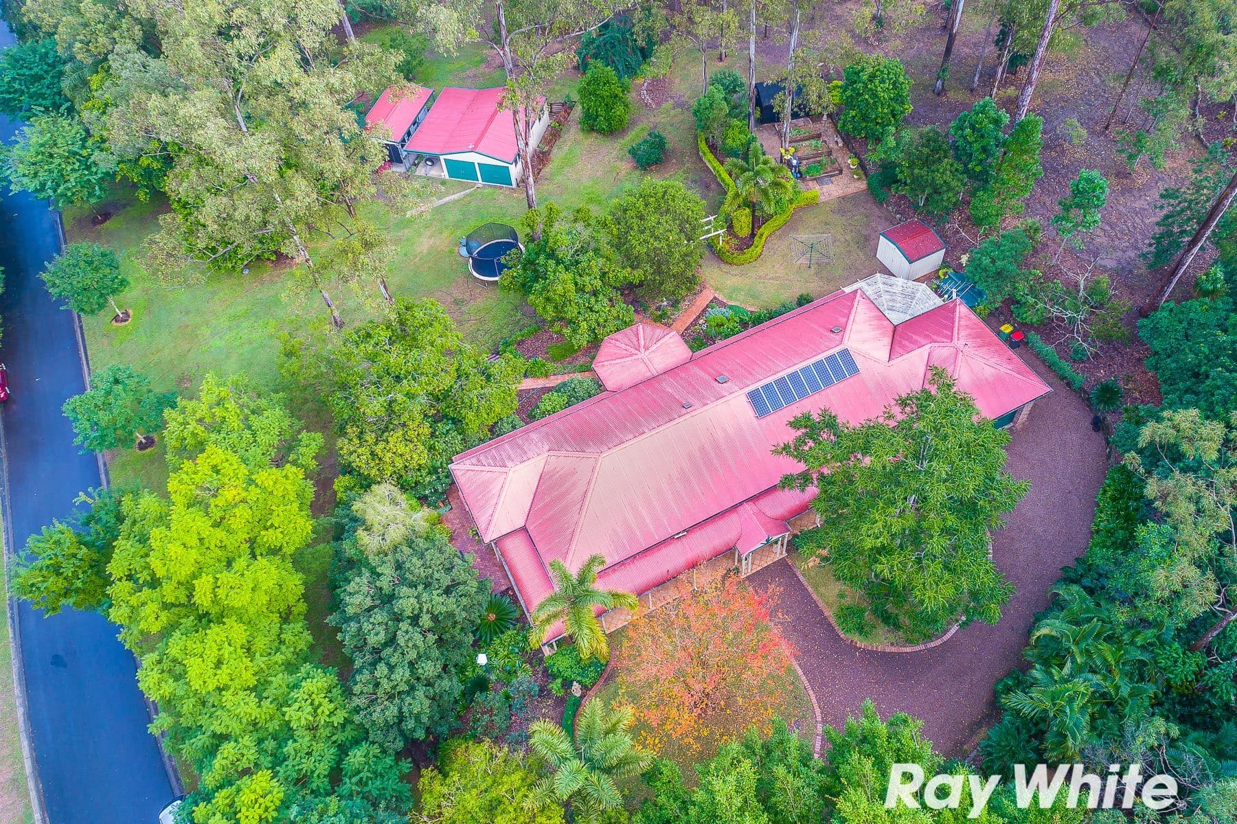2 Frigo Court, Bunya QLD 4055, Bunya - Image 1