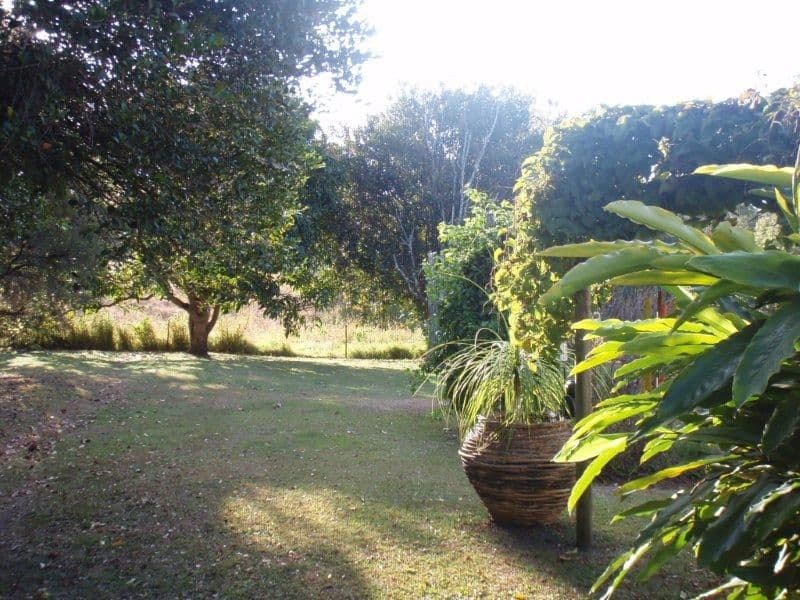 3 Henry Street, COORAN QLD 4569, Cooran - Thumbnail 4