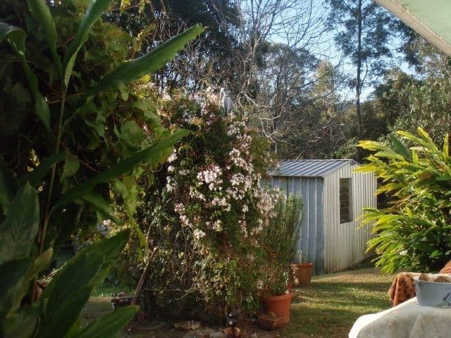 3 Henry Street, COORAN QLD 4569, Cooran - Thumbnail 6