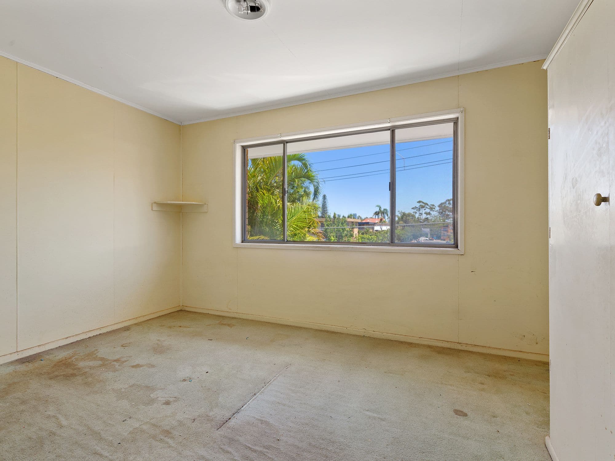 19 Robinson Street, Coorparoo QLD 4151, Coorparoo - Thumbnail 5