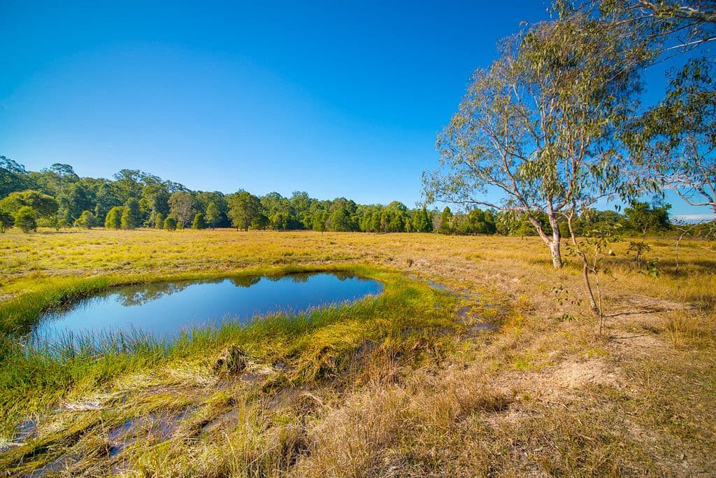 734 Bulga Road, Wingham NSW 2429, Wingham - Thumbnail 2