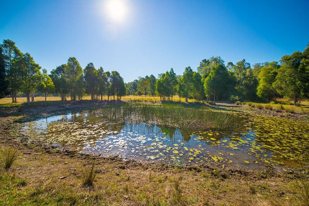 734 Bulga Road, Wingham NSW 2429, Wingham - Thumbnail 3