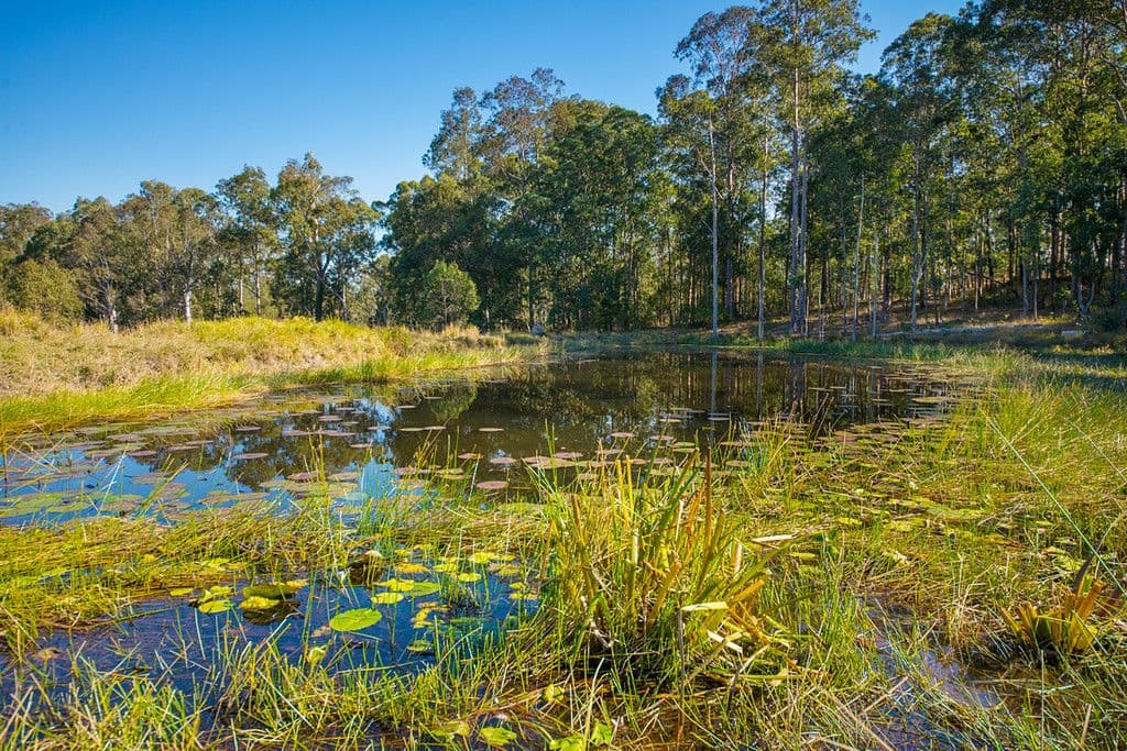 734 Bulga Road, Wingham NSW 2429, Wingham - Thumbnail 6
