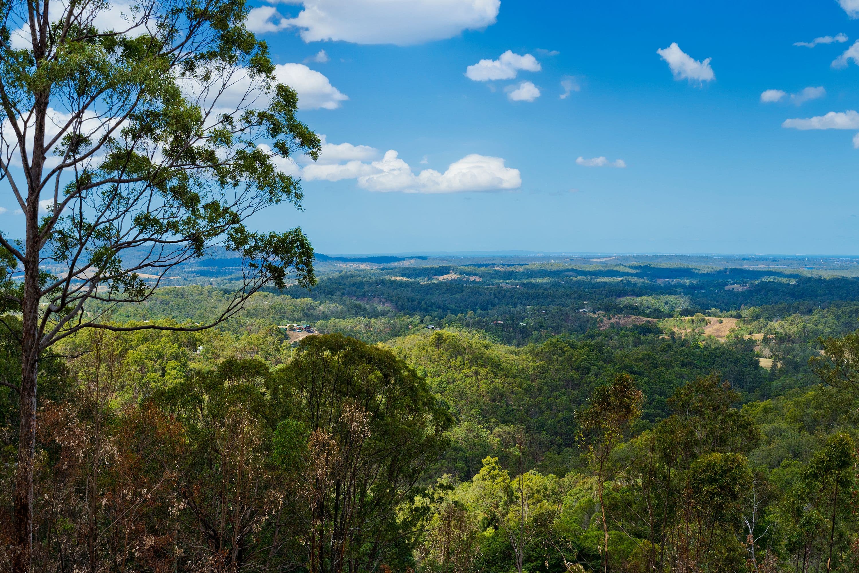 164A Boongala Court, Kobble Creek QLD 4520, Kobble Creek - Thumbnail 2
