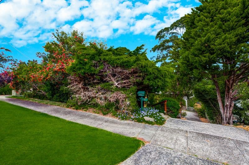 40 Finch Avenue, EAST RYDE NSW 2113, East Ryde - Thumbnail 2