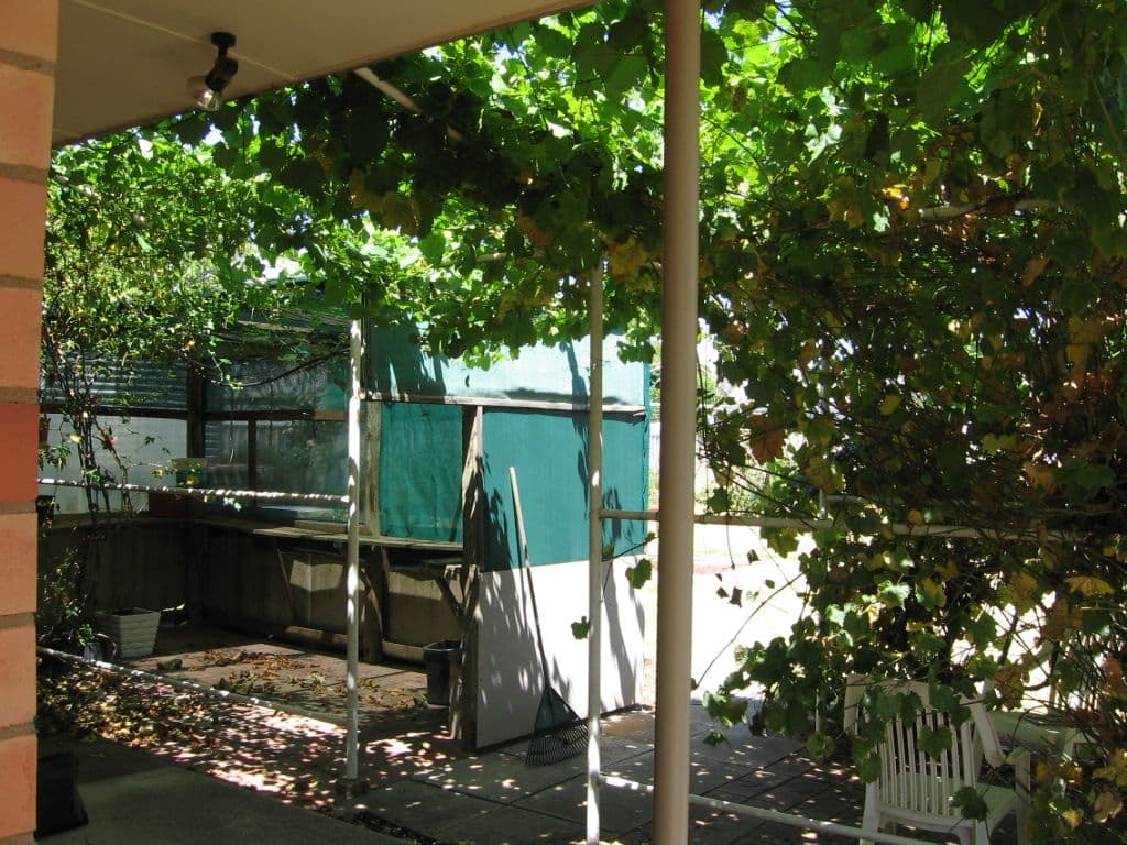 46 Northcote Street, ROCHESTER VIC 3561, Rochester - Thumbnail 5