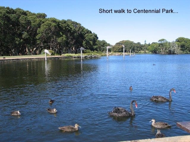 100 Wentworth Street, RANDWICK NSW 2031, Randwick - Thumbnail 5