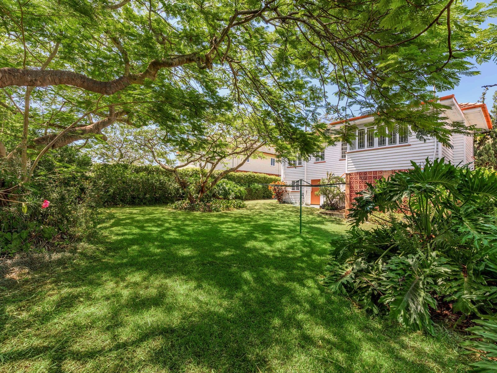 193 Banks Street, Alderley QLD 4051, Alderley - Thumbnail 2