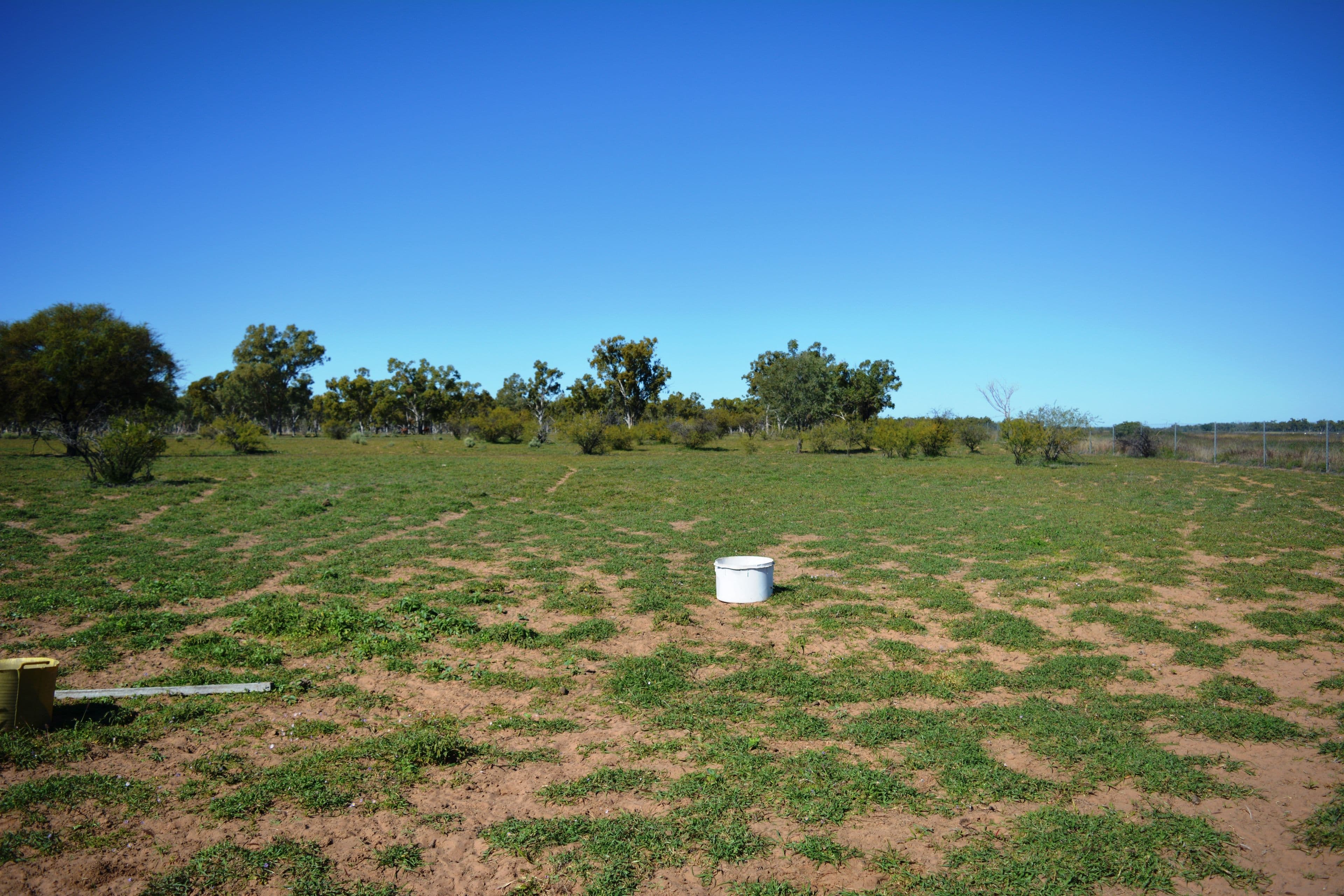 6 Corkwood Road, Barcaldine QLD 4725, Barcaldine - Image 1