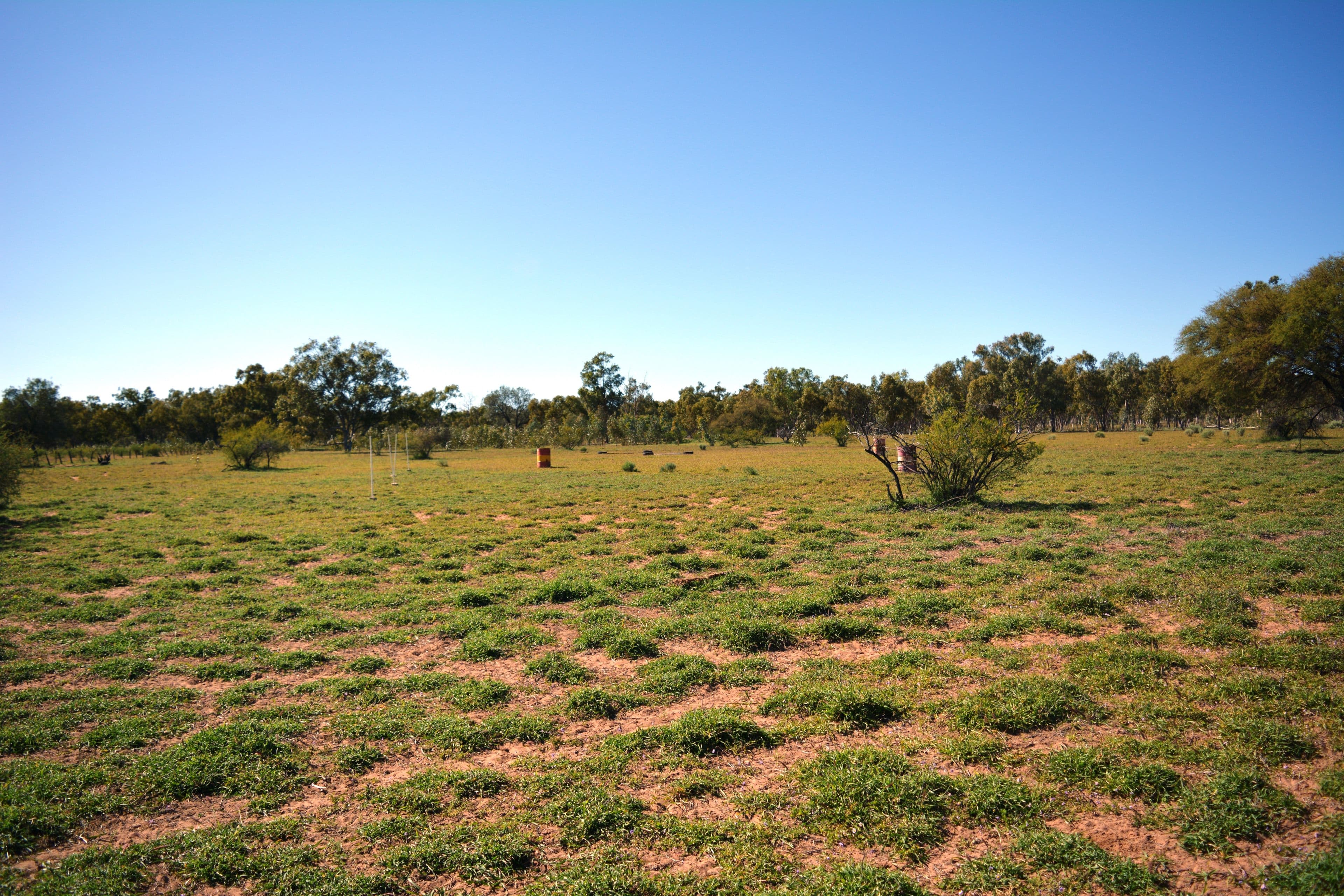 6 Corkwood Road, Barcaldine QLD 4725, Barcaldine - Thumbnail 3