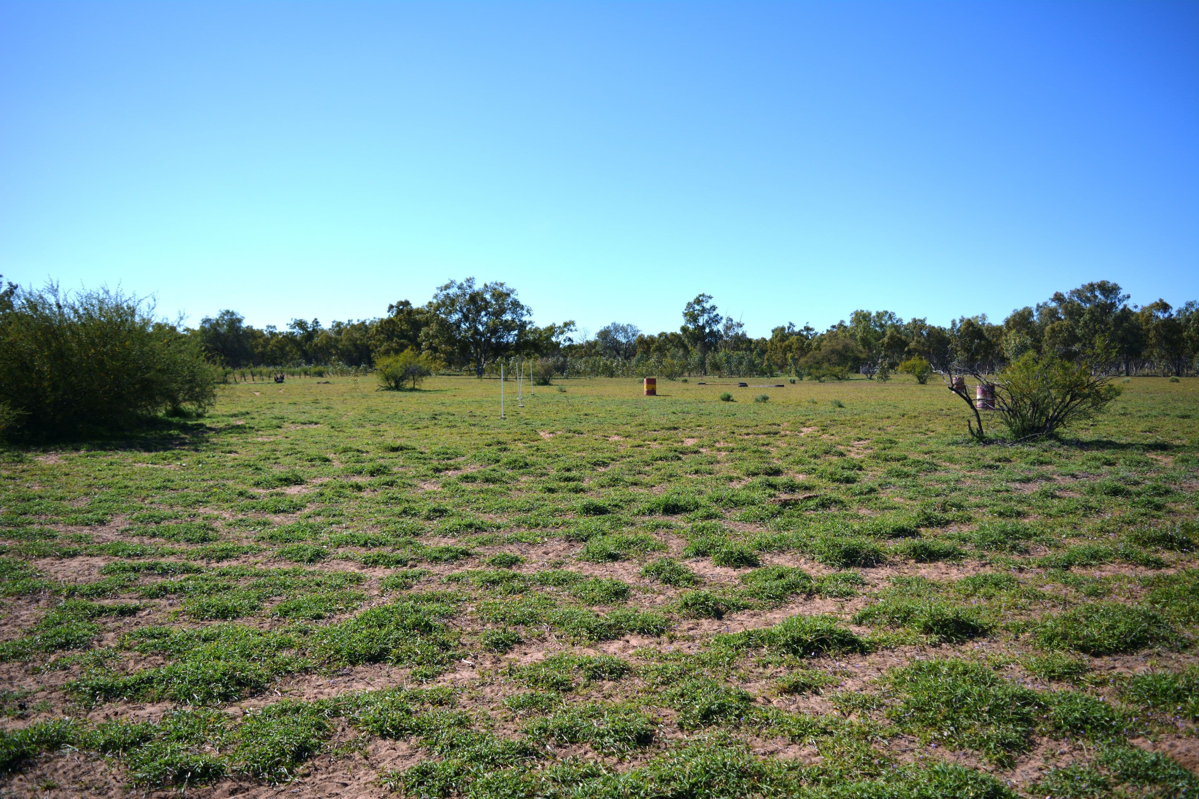 6 Corkwood Road, Barcaldine QLD 4725, Barcaldine - Thumbnail 4