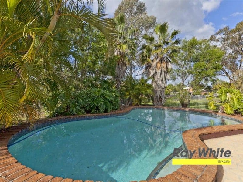11 St James Road, BIRKDALE QLD 4159, Birkdale - Thumbnail 5