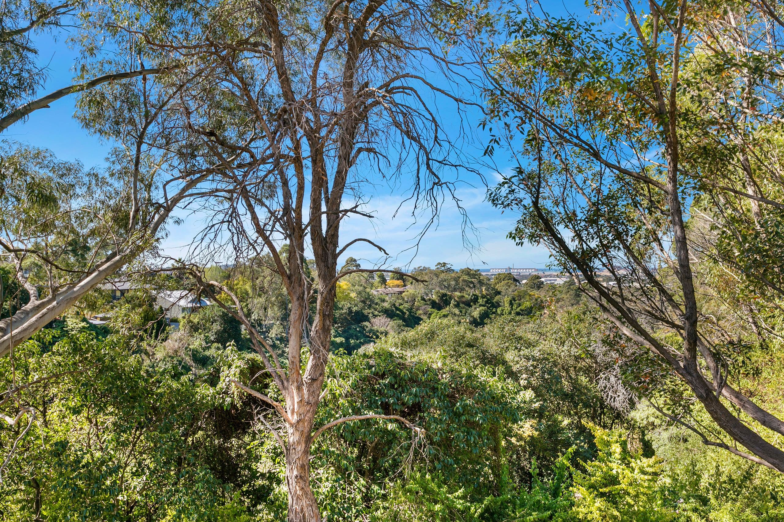 78 Iola Avenue, Farmborough Heights - Thumbnail 3
