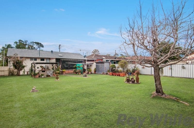 7 Blackwood Avenue, Beresfield - Thumbnail 8