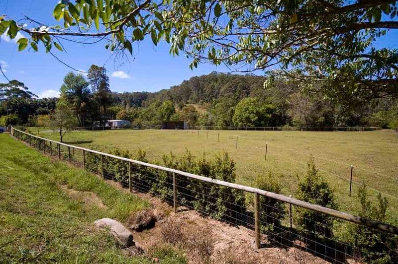 25 Cash Road, EUMUNDI QLD 4562, Eumundi - Thumbnail 7