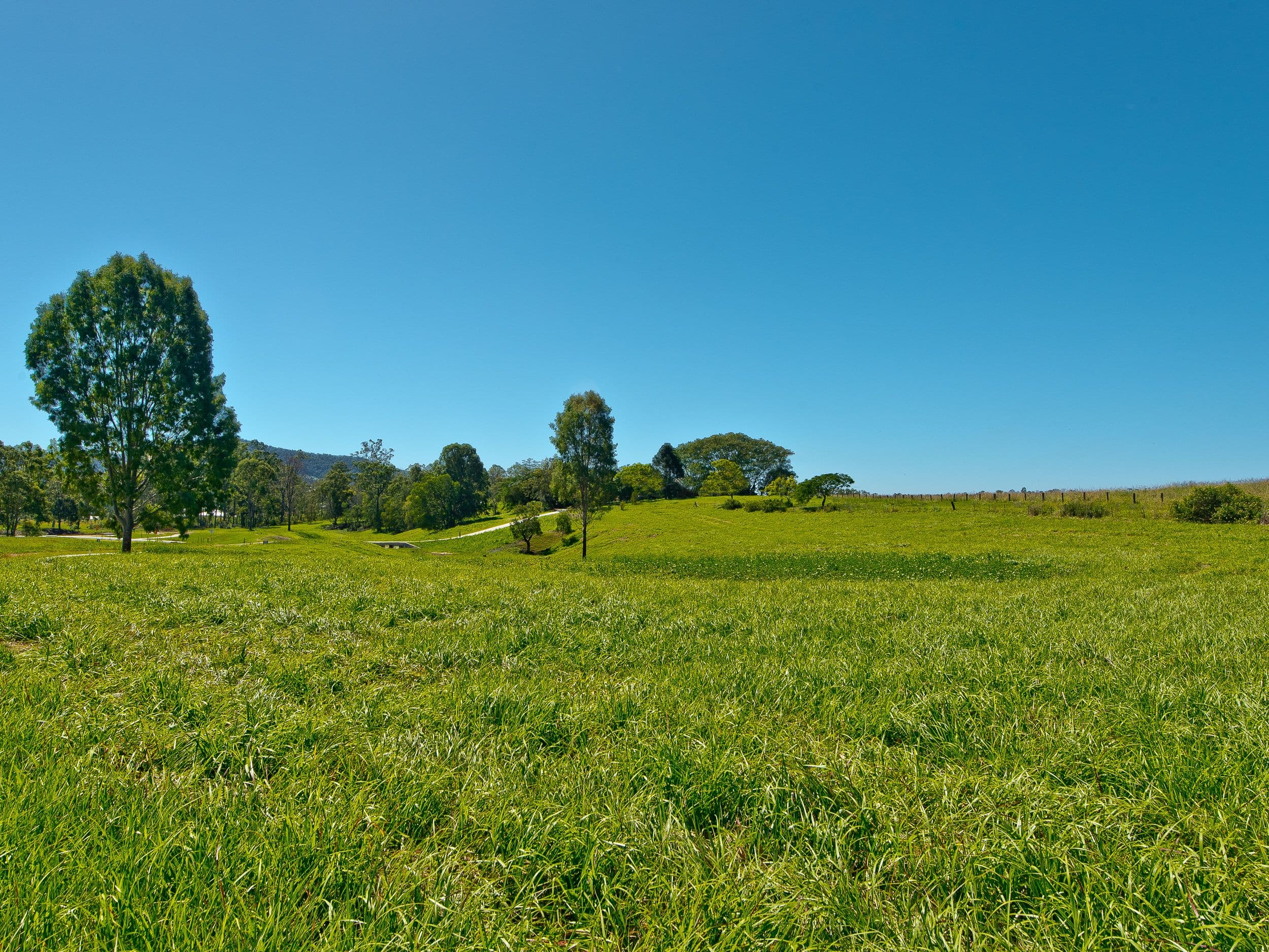 Lot 4 "Mountain Rise Estate" Moonlight Avenue, HIGHVALE QLD 4520, Highvale - Thumbnail 4
