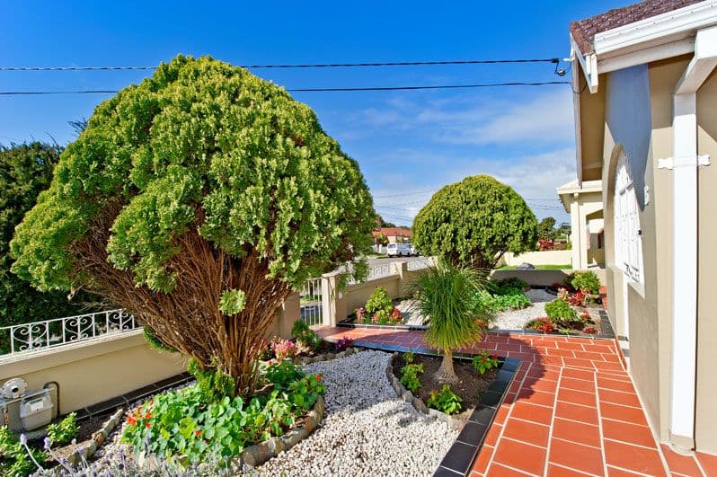 16 Bass Street, KINGSFORD NSW 2032, Kingsford - Thumbnail 6