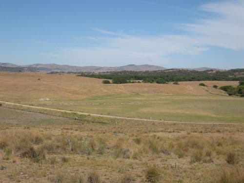 2280 Hoskinstown Road, HOSKINSTOWN NSW 2621, Hoskinstown - Image 1