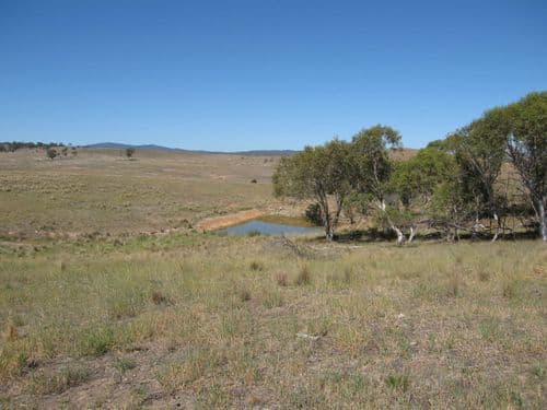 2280 Hoskinstown Road, HOSKINSTOWN NSW 2621, Hoskinstown - Thumbnail 2