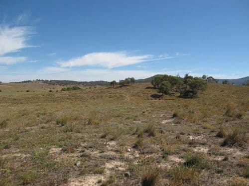 2280 Hoskinstown Road, HOSKINSTOWN NSW 2621, Hoskinstown - Thumbnail 3