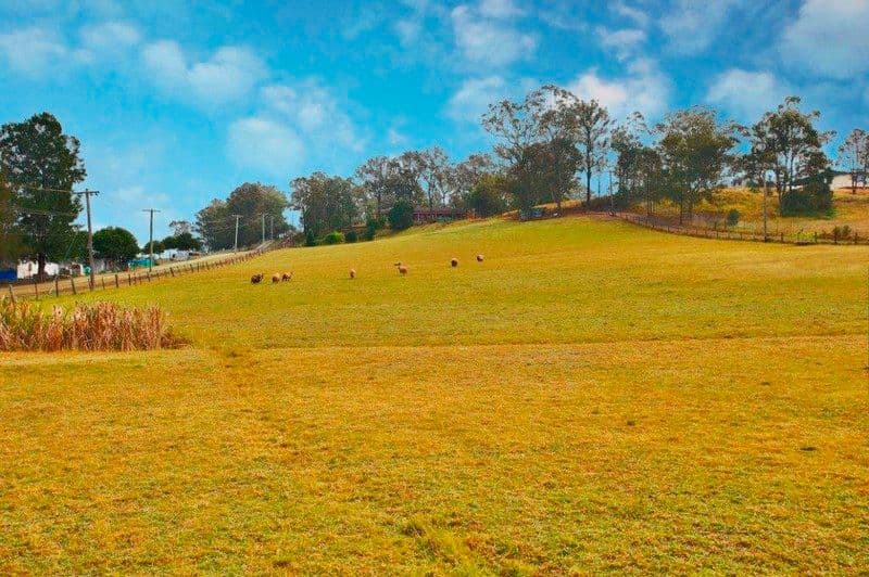 297 Garfield Rd East, RIVERSTONE NSW 2765, Riverstone - Thumbnail 3