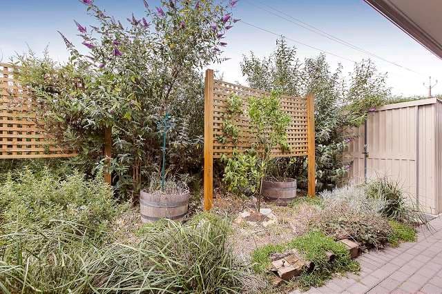 22 Seaberry Walk, ALDINGA SA 5173, Aldinga - Thumbnail 7