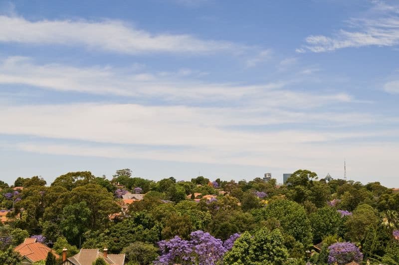 15 Tryon Road, LINDFIELD NSW 2070, Lindfield - Thumbnail 6