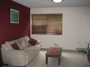  38 Lemnos Parade, THE HILL NSW 2300, The Hill - Thumbnail 4