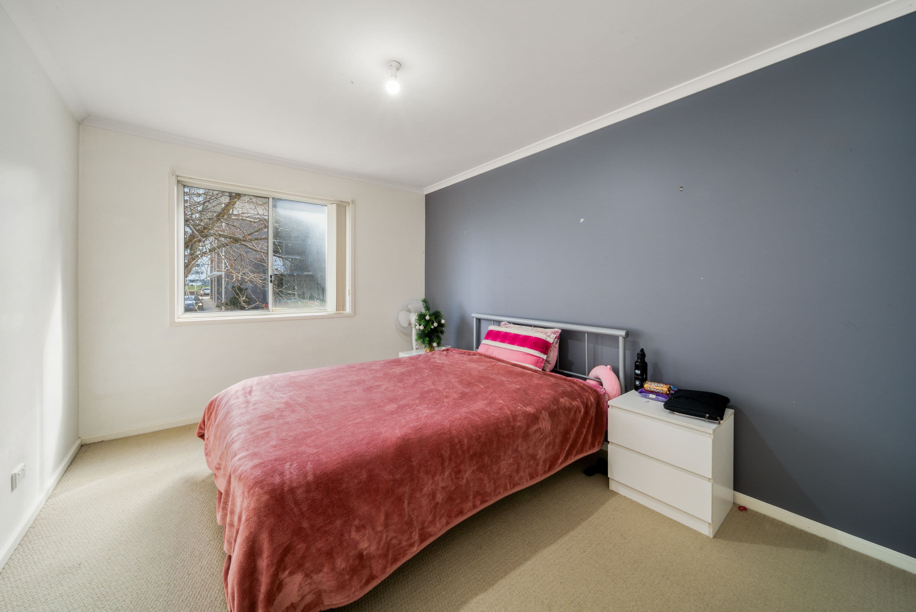 80 Gozzard Street, Gungahlin ACT 2912, Gungahlin - Thumbnail 6