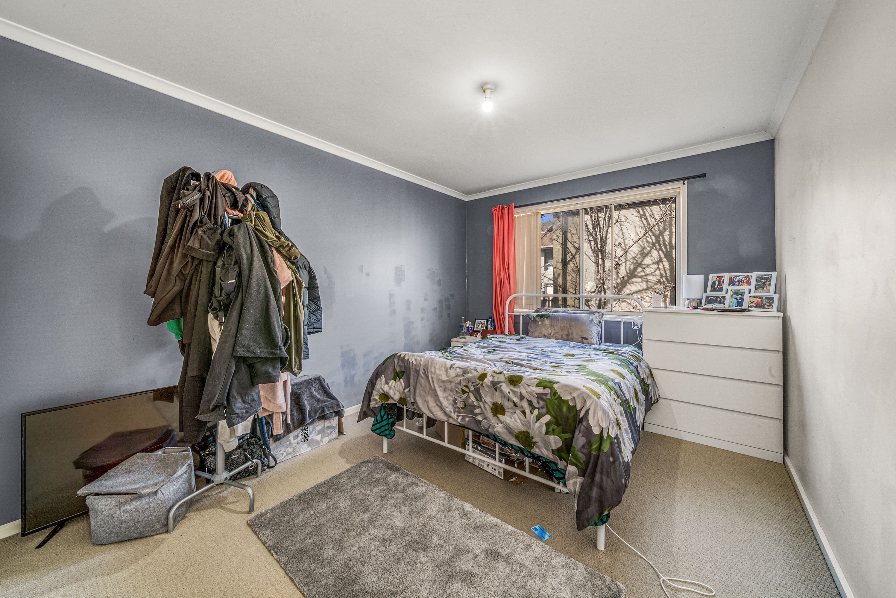 80 Gozzard Street, Gungahlin ACT 2912, Gungahlin - Thumbnail 8