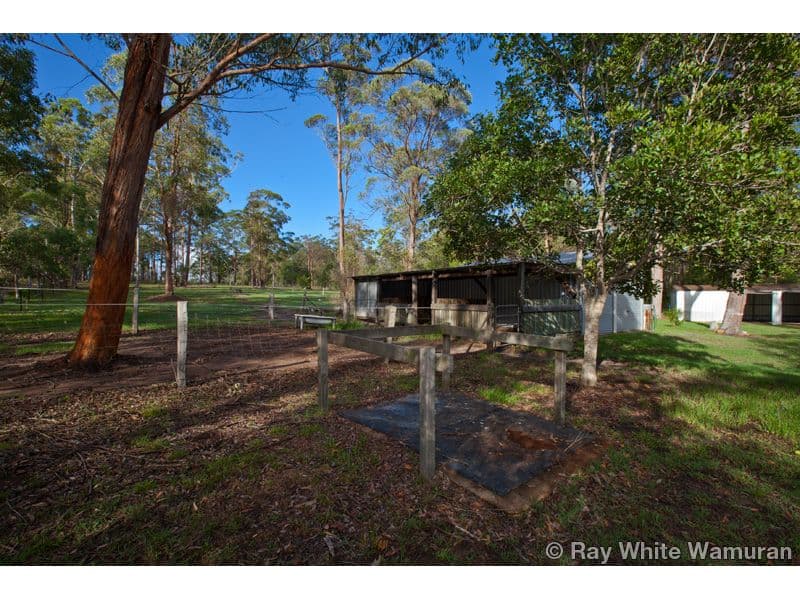 100 Langer Street, WOODFORD QLD 4514, Woodford - Thumbnail 7