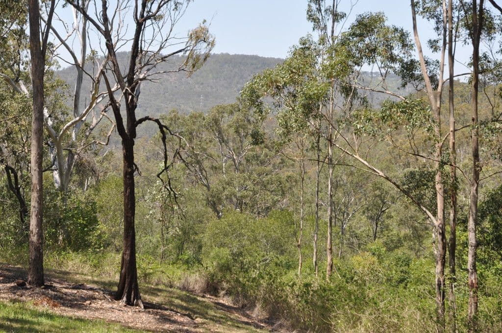 2393 Flagstone Creek Road, Silver Ridge QLD 4352, Silver Ridge - Thumbnail 2