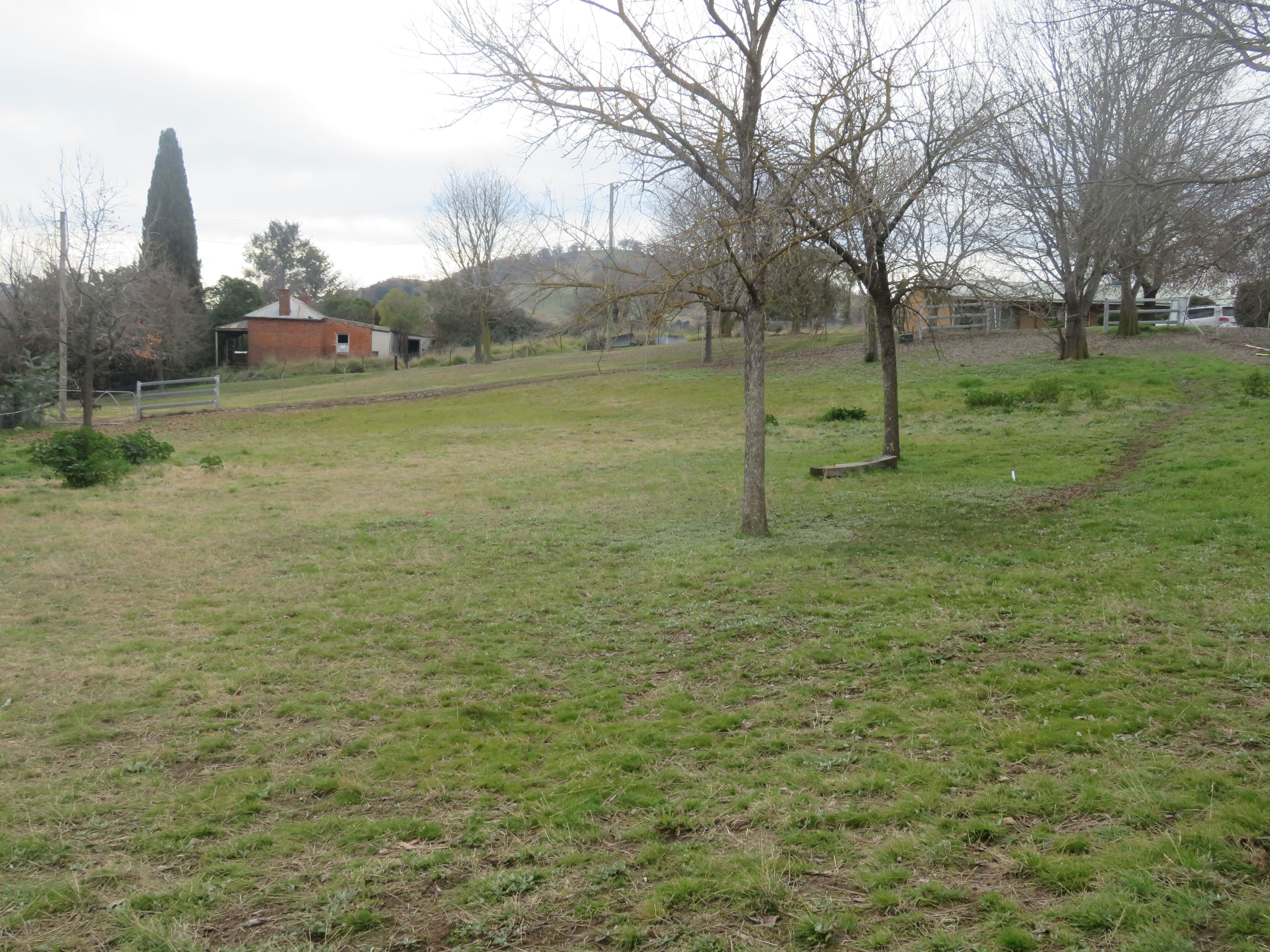 4 Lynch Street, Adelong NSW 2729, Adelong - Image 1