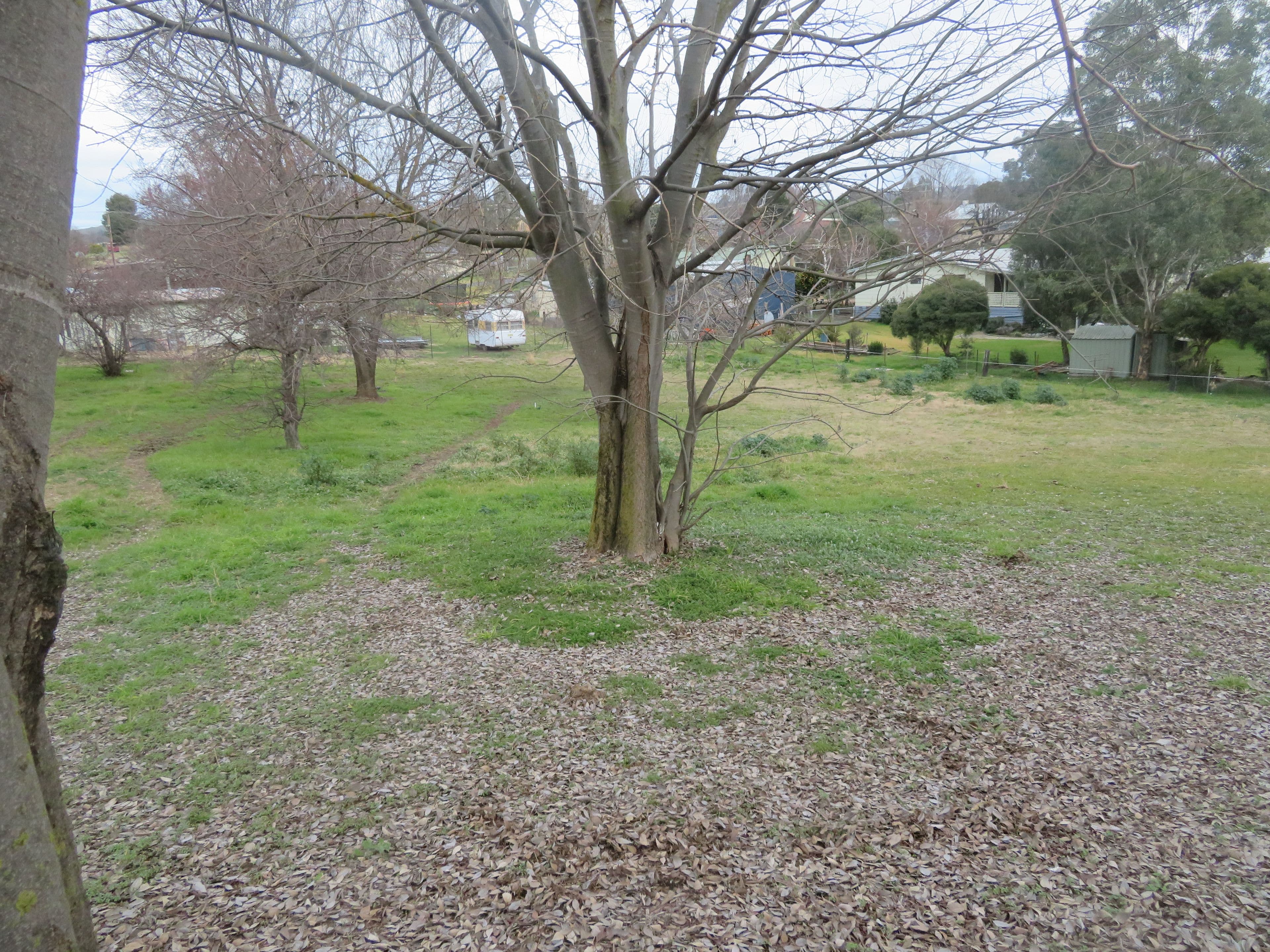 4 Lynch Street, Adelong NSW 2729, Adelong - Thumbnail 2