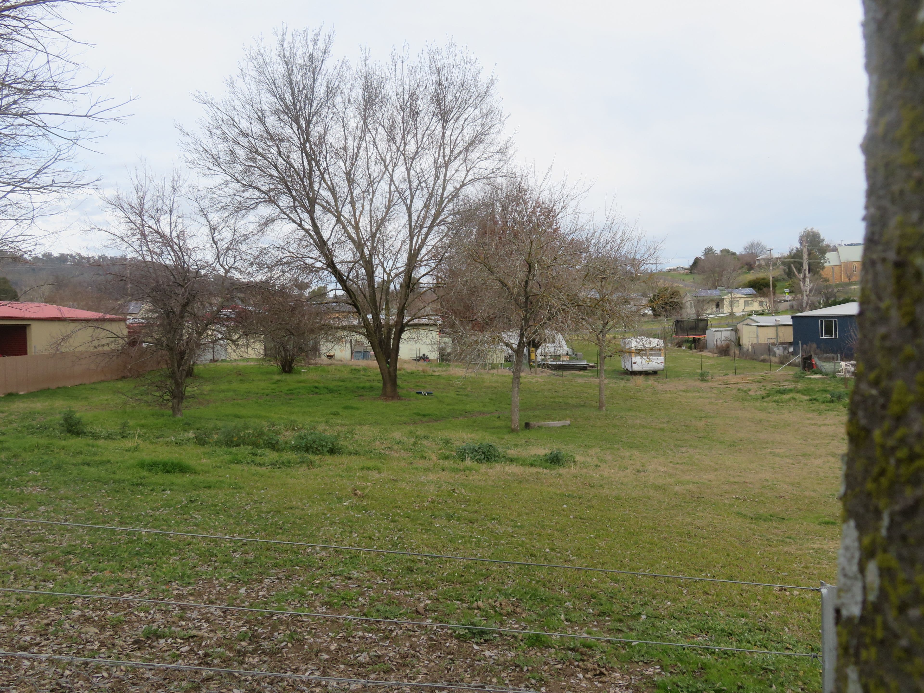 4 Lynch Street, Adelong NSW 2729, Adelong - Thumbnail 4
